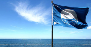 bandiaera-blu-pineto