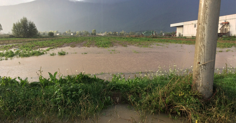 alluvione Fucino