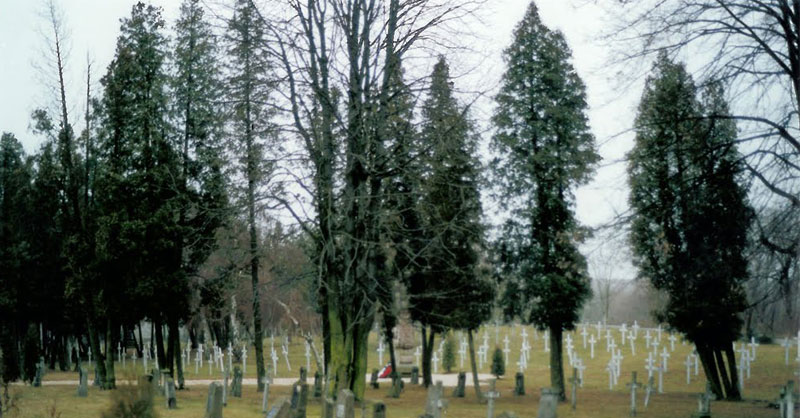 cimitero di guerra