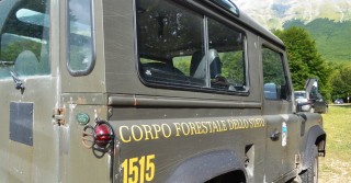 Guardia Forestale