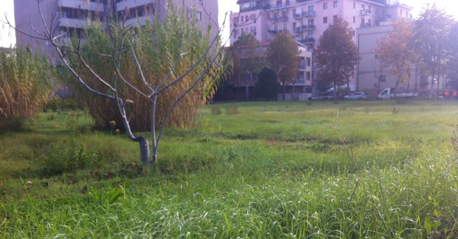 Pescara via Raffaello giardini orti comunitari