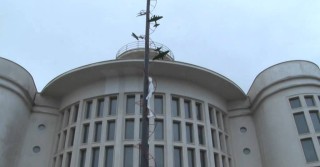 Stella Maris