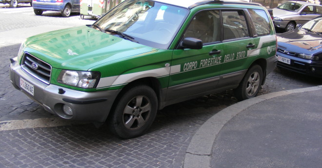 Corpo Forestale dello Stato
