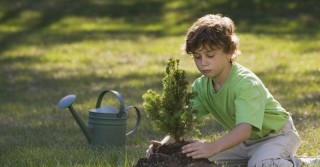 Convegno "Primavera degli Alberi"