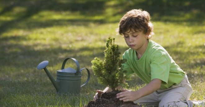 Convegno "Primavera degli Alberi"