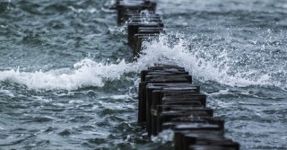 Gente di mare