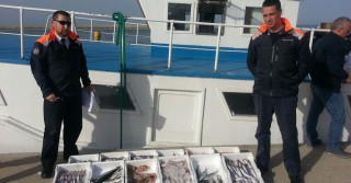 Prodotto ittico sequestrato
