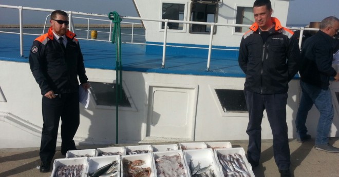 Prodotto ittico sequestrato