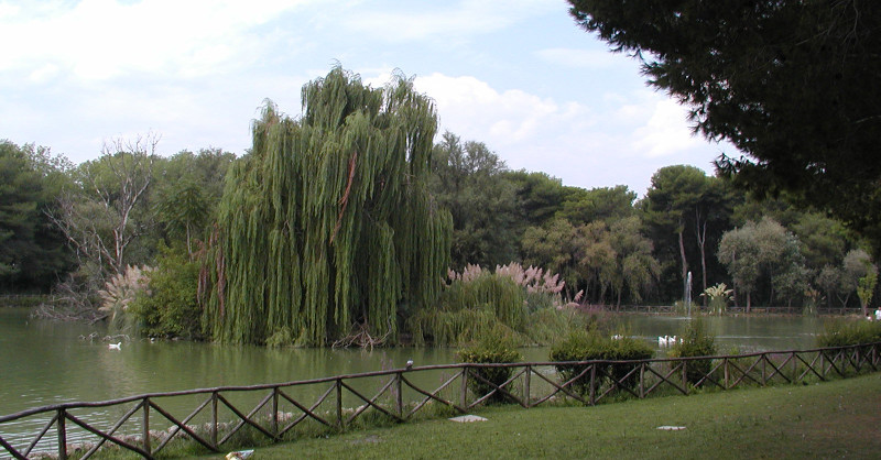 Pineta Dannunziana