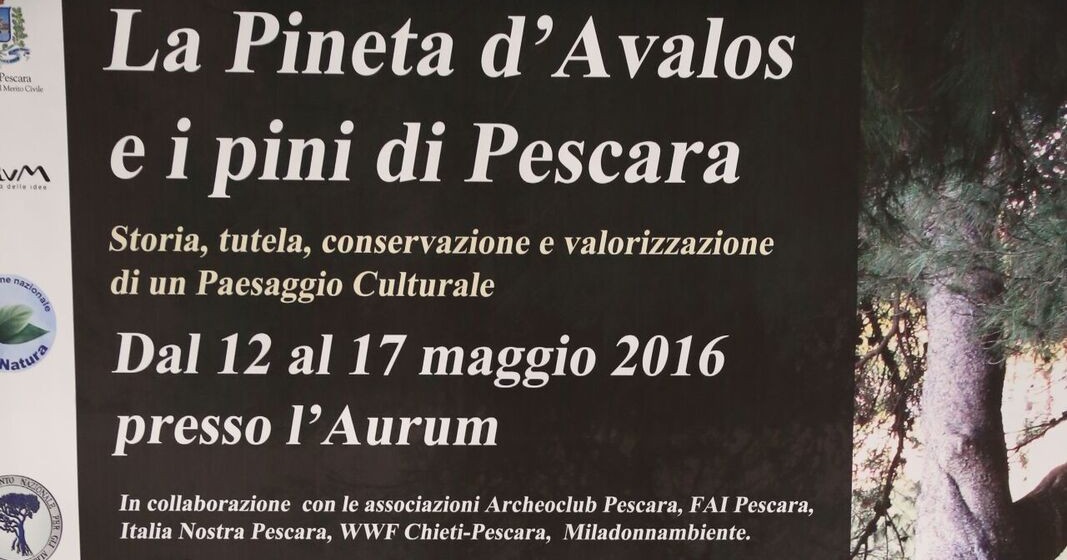 La Pineta D'Avalos e i pini di Pescara