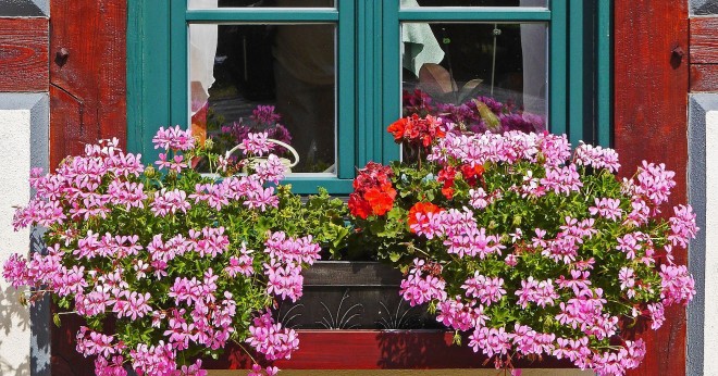 Balconi in fiore