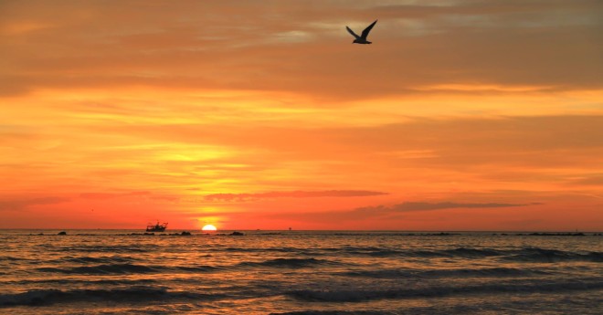 Il litorale adriatico all'al