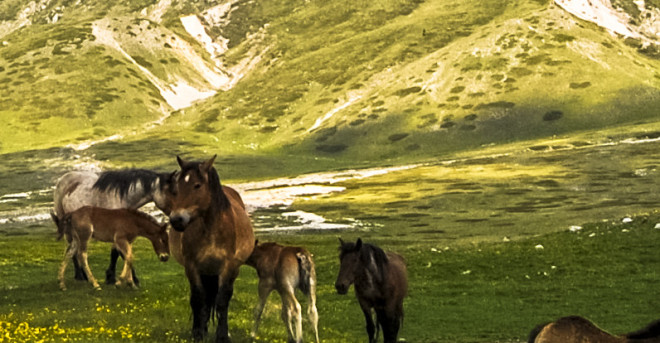 Campo_Imperatore,_Abruzzo
