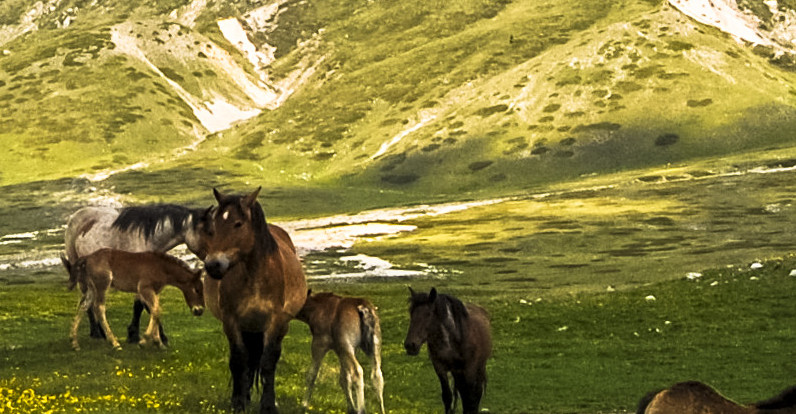 Campo_Imperatore,_Abruzzo