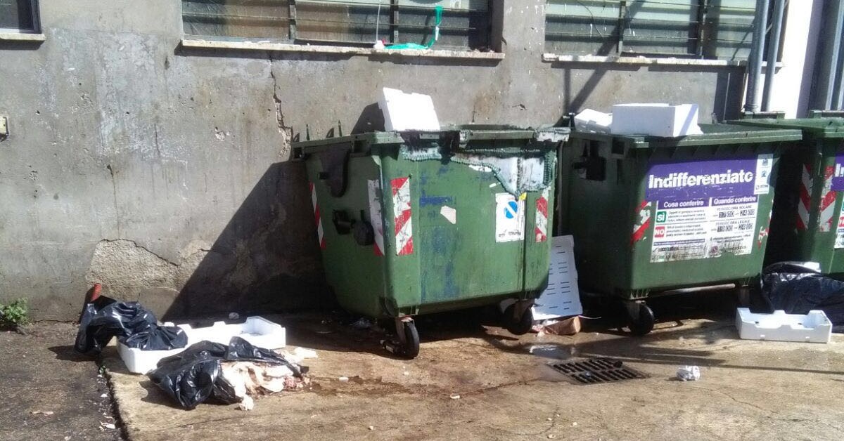Fubetti del cassonetto al mercato ittico