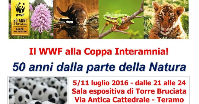 Il Wwf alla Coppa Interamnia