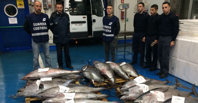 Sequestro-tonno-rosso