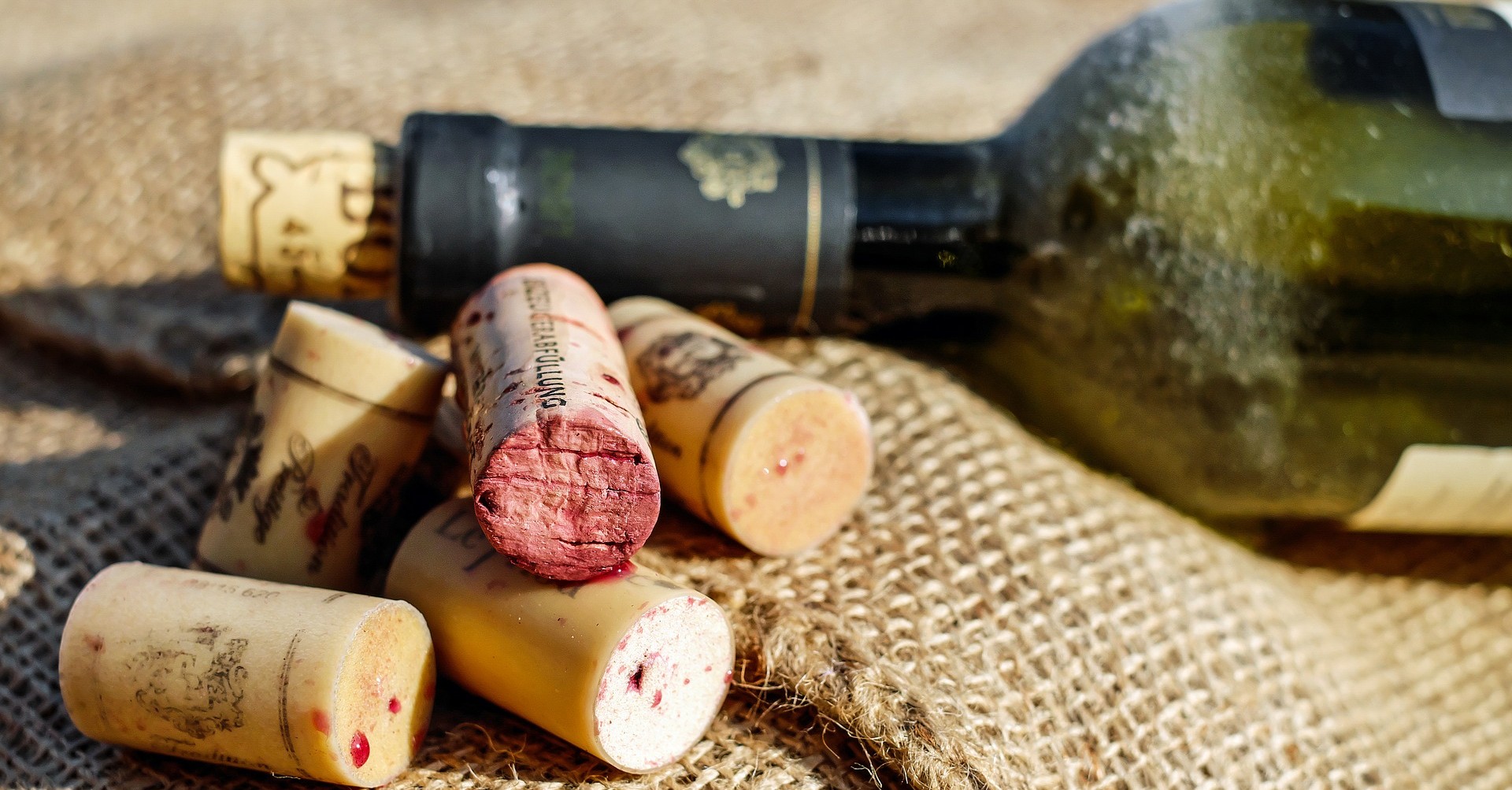 pescara-abruzzo-wine