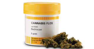 Cannabis, al via la distribuzione in Piemonte
