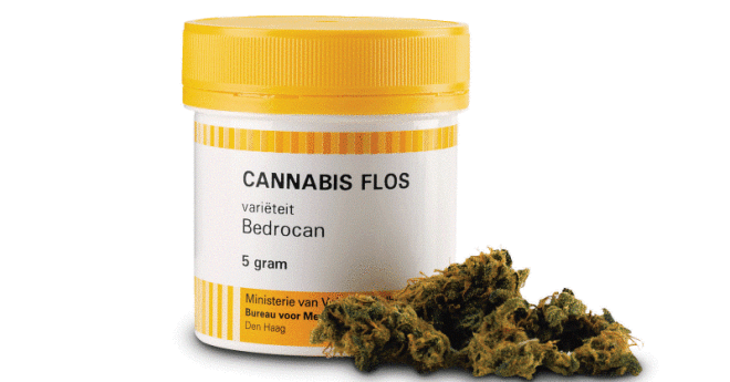 Cannabis, al via la distribuzione in Piemonte