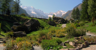 Parco Nazionale Gran Paradiso