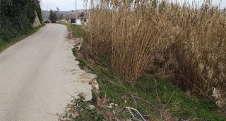 dissesto strada