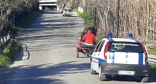 bighe in città, multe