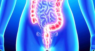 colon retto