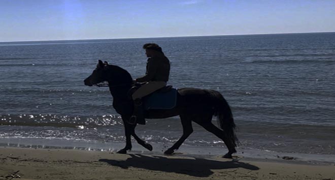 cavallo in spiaggia