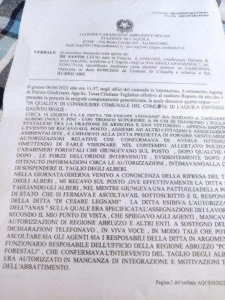 Denuncia_taglio_alberi_ss80_3