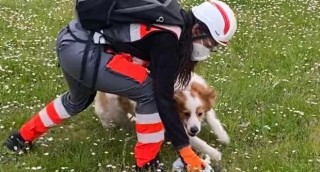 k9 soccorso
