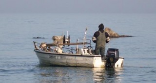 pesca