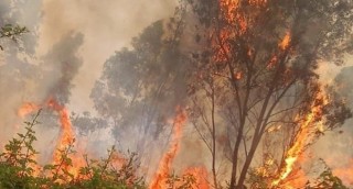 prevenzione incendi