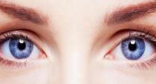 retina