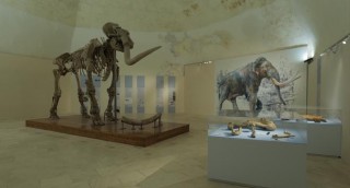 mammut l'aquila