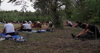 Camminata tra gli Olivi