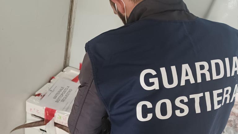 guardia costiera operazione paranza