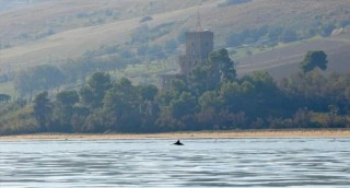 foto di bruno mariani Cerrano