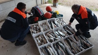 sequestro guardia costiera