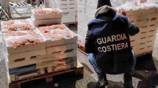 guardia costiera operazione senza traccia
