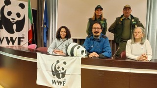 wwf conferenza bilancio 2022