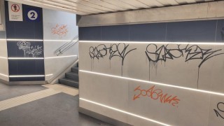 vandali a pineto