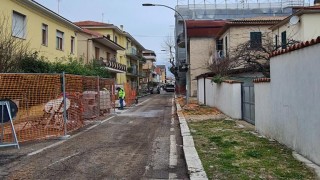 taglio d'alberi a francavilla al mare