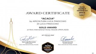certificazione luca finocchio