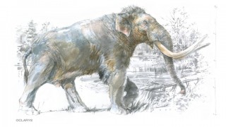mammut l'Aquila