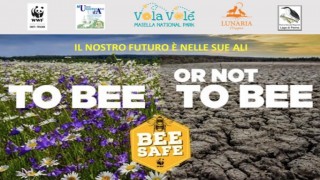 wwf ambiente convegno e mostra chieti