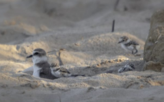 Schermata 2023-05-15 alle 07.50.36