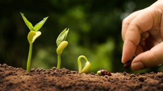 agricoltura