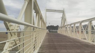 ponte sul Calvano PINETO