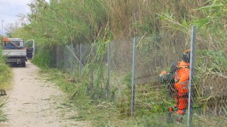 pulizia scarpata